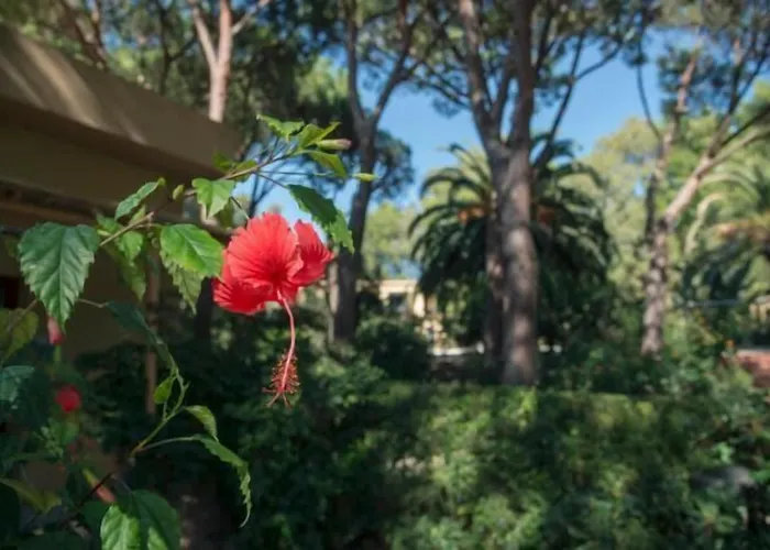 Abbaechelu Appart hôtel