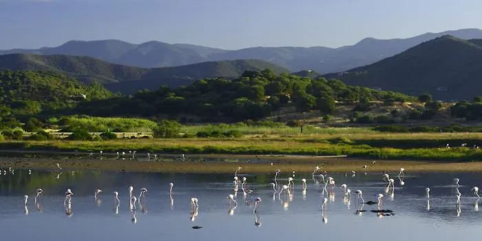 Appart hôtel Abbaechelu Santa Margherita di Pula